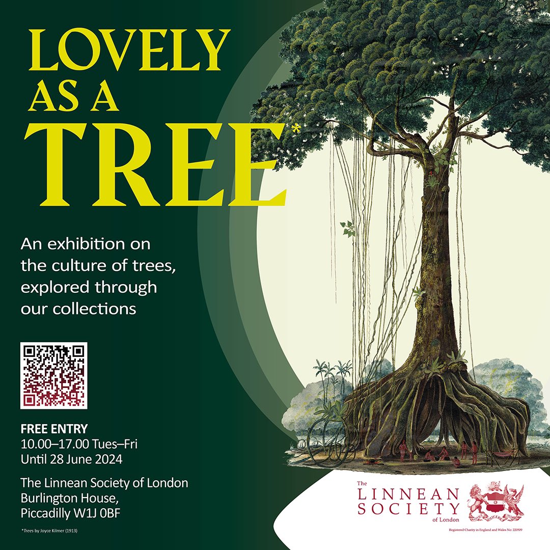 Guided walk exploring the use and representation of trees through the Linnean Society's collections. Our Head of Collections, Isabelle Charmantier, will take you through the exhibition investigating how trees are represented in natural history. urbantreefestival.org/curator-led-wa…