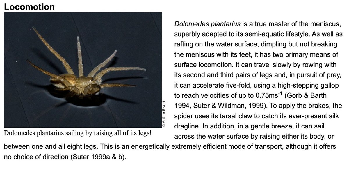 Dr Will Leo Hawkes tweet media