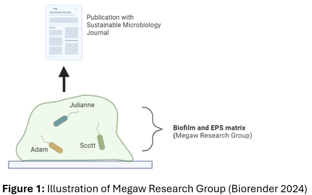 Delighted to have our manuscript on plastic colonisers accepted by Sustainable Microbiology this morning. First author Adam McFall has also created a visual representation of our cooperative group biofilm secreting this publication (Figure 1). Great work!