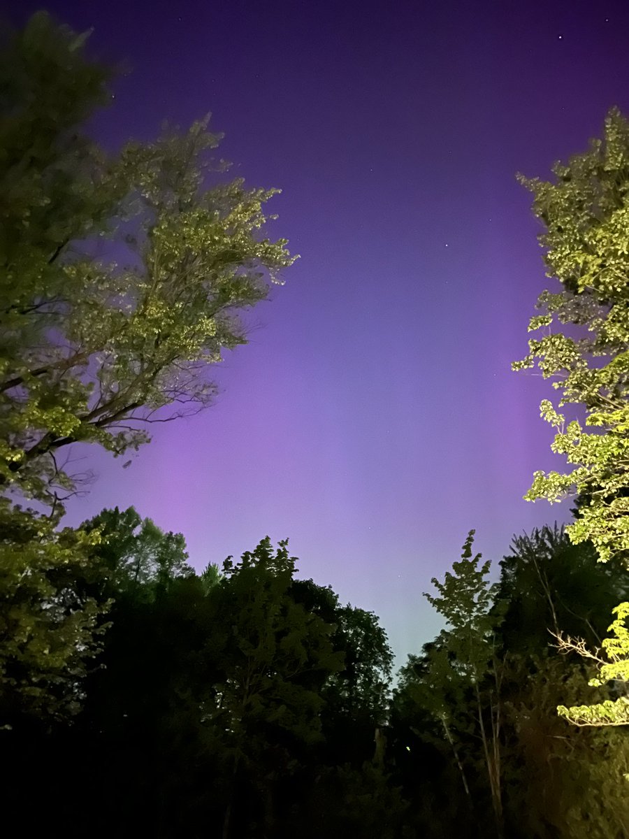 _Miss_Flowers_'s tweet photo. What a year for science in Ohio! Eclipse and Northern Lights - my science heart is so happy! https://t.co/wRzR34Kdmx