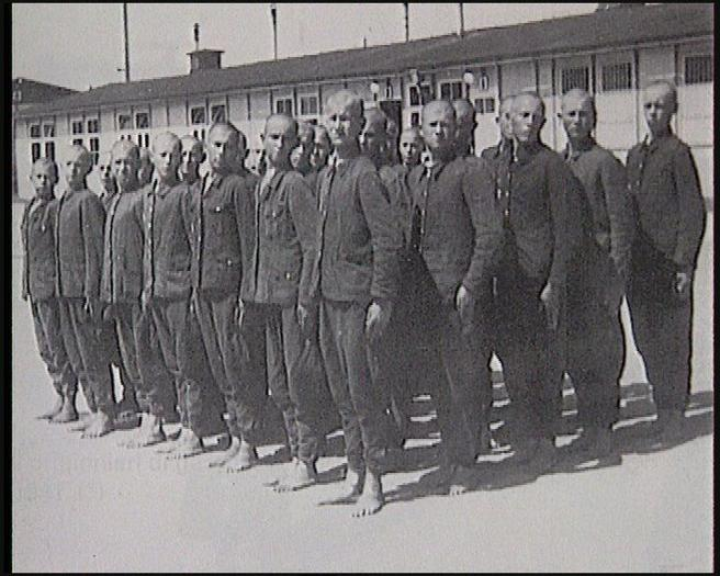 Mauthausen, historia de los españoles en el campo de concentración nazi en Austria. El 20 de agosto de 1940, 927 refugiados españoles son embarcados en un tren de ganado en la estación francesa de Angulema. El 24 de agosto de 1940 llegan por fin a su destino. Asomados por los…
