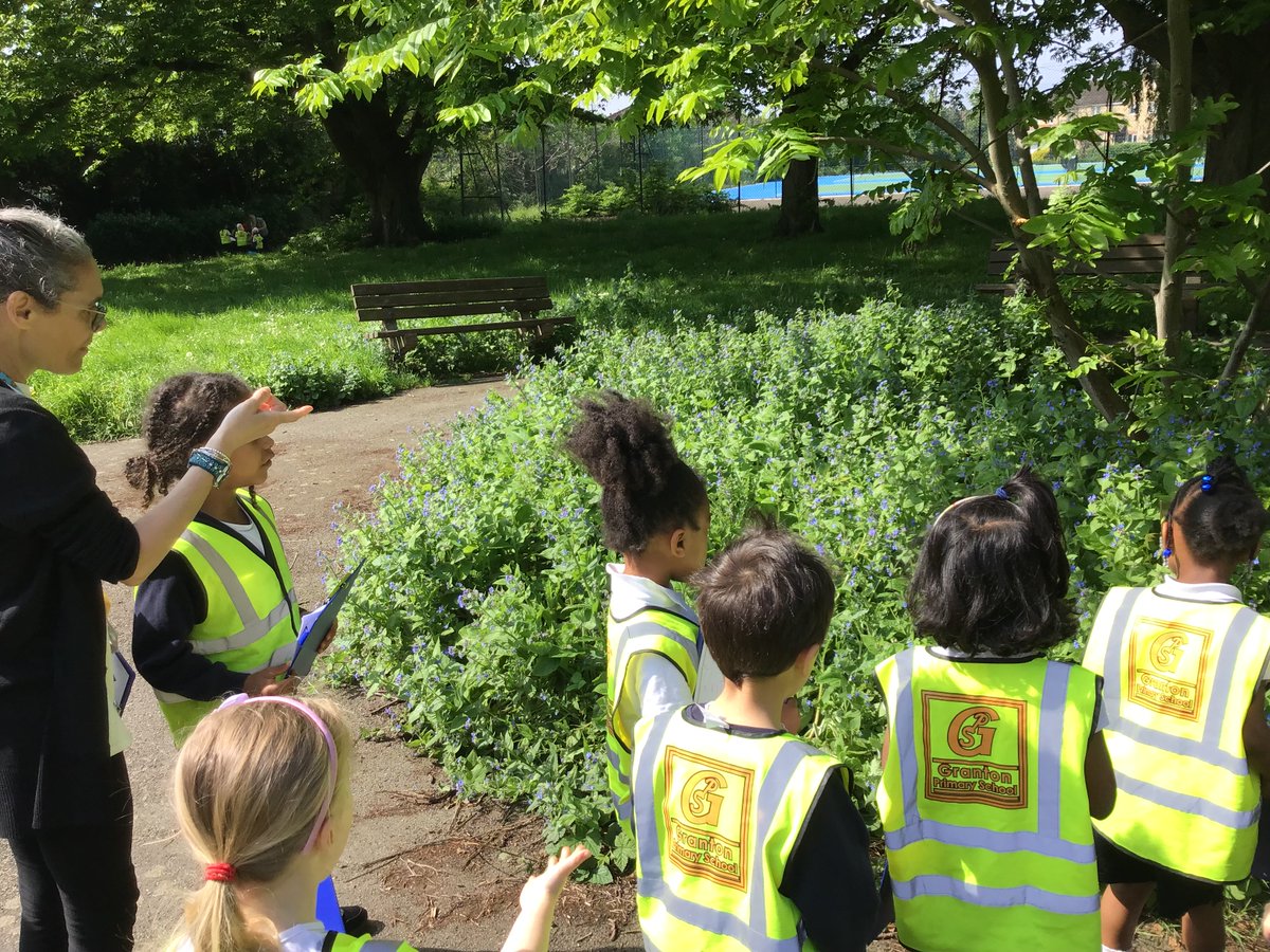 Reception had a lovely time at Streatham Vale Park, drawing and making notes about all the plants, flowers and animals they found in their local environment.  #GrantonFamily #LeadingTheWay #Streatham #EYFS #outdoorfun