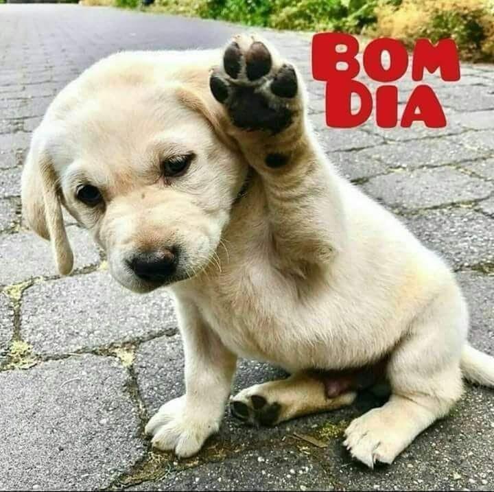 #ReiDasIndicacoes @denilson_VRJ @Jemaco40 @MarthaCandia21 @ElderAcost @teamdinamicas @RoxxLo3 @tatysolcito @monicampon @r95731 @Patris_7 @WALLI27 @WaynesGirl3 @gil_mata2 @KIACHIARA1 @Nathyan1997 @MARTHA_CAN2 @Nature_moni @DrisSampeu22429 @ranasilvia63 @leilasbsantos