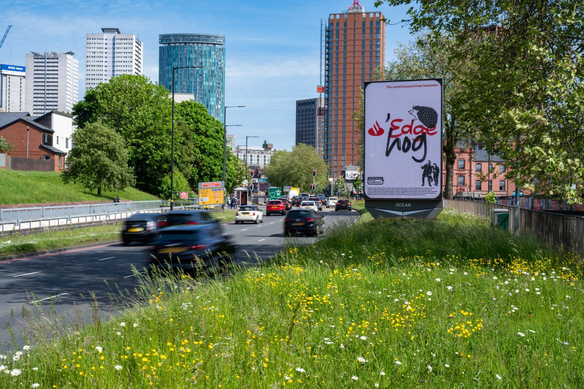 'The current account from Santander - 'Edgehog' . @santanderuk . @OceanOutdoorUK . #ooh #outofhome #advertising #oohmedia #oohadvertising #advertisingphotography