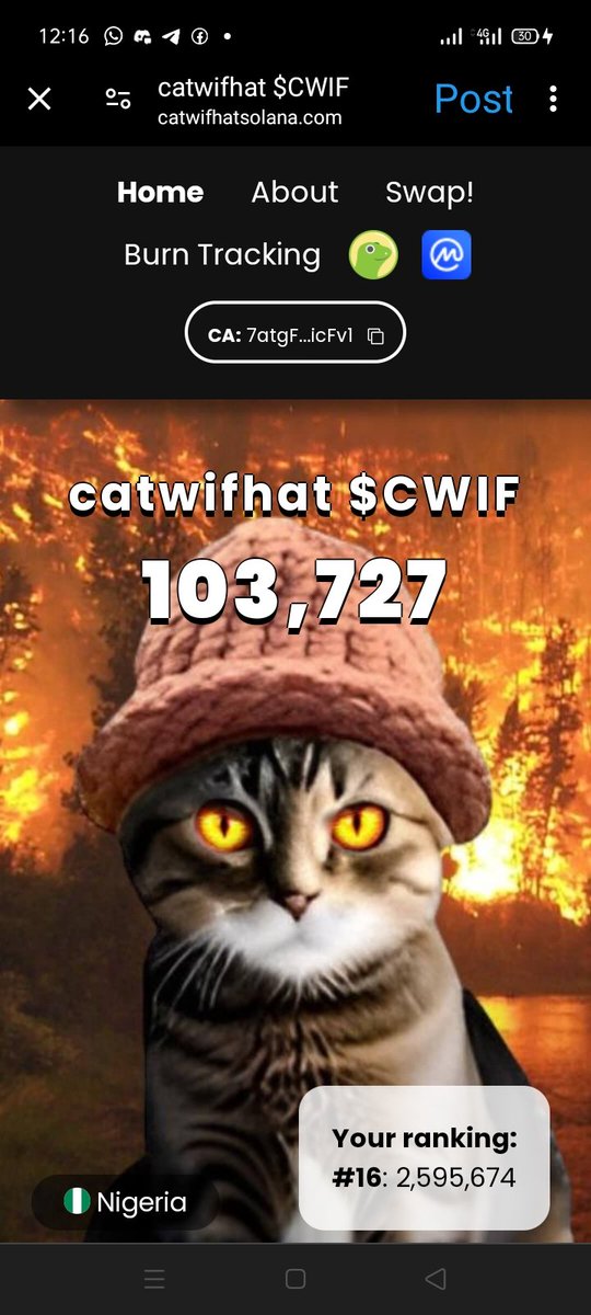 Theadguy. tweet media