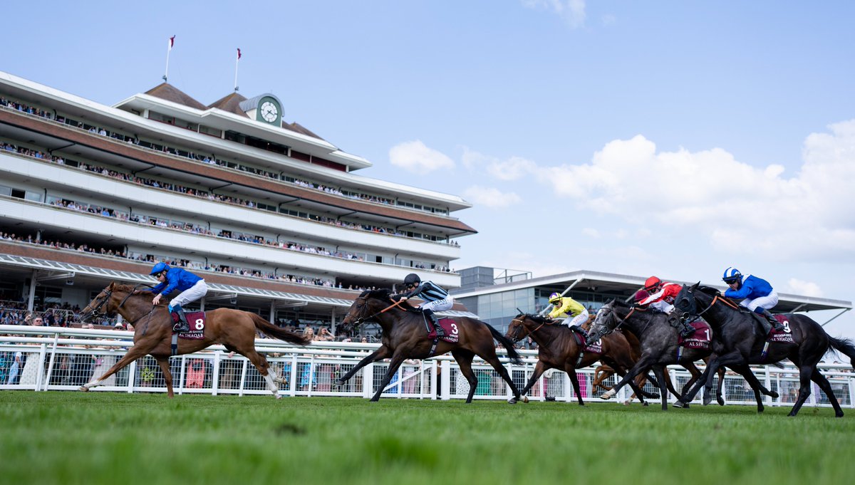 RacingPost's tweet image. 🎟 WIN TICKETS TO LOCKINGE DAY 🎟

We're giving away a pair of tickets for Saturday's action at Newbury, featuring the Group 1 Lockinge Stakes! 🤩

To enter:
✅ Follow @RacingPost
✅ Follow @ChampionsSeries 
🔁 Retweet this post

The winner will be announced at 4pm on Wednesday