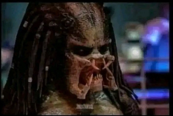 That infected coochie just watching being taken to dubai instead of being bought antibiotics💀😂