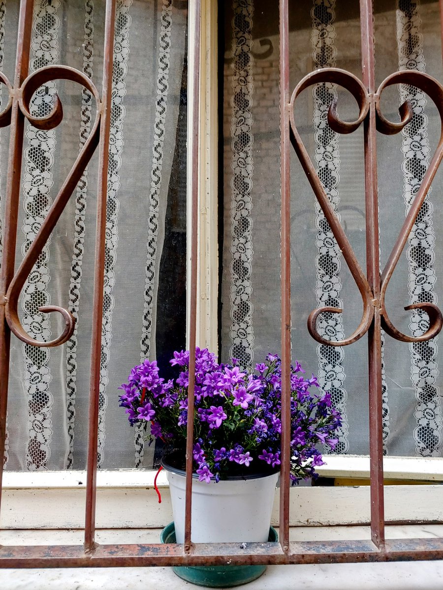 There's no harm in wishing everyone a happy Mother's Day. 
But please be gentle to mothers who are suffering.

open.substack.com/pub/rochelledb…