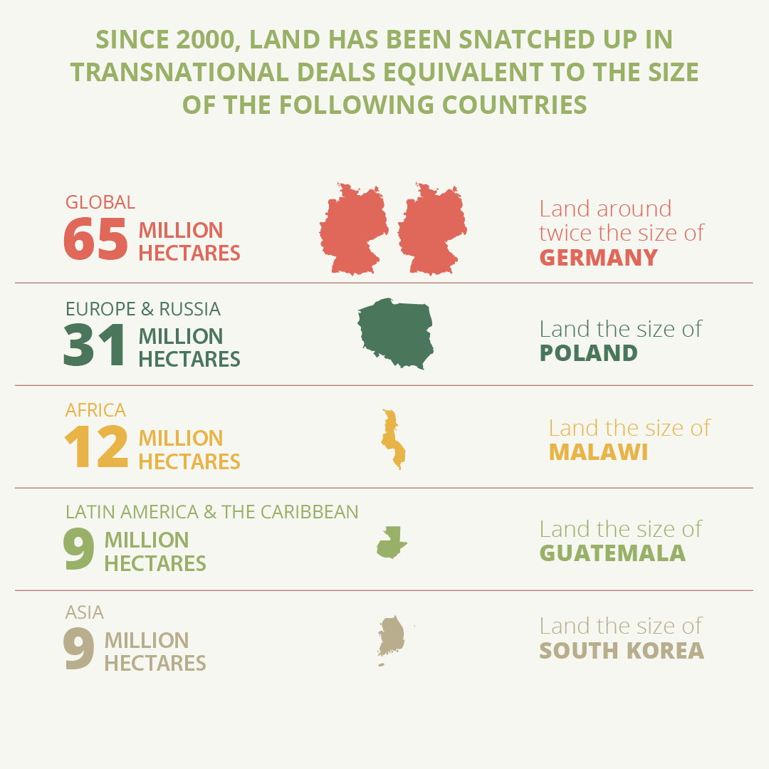 The 1% largest #farms control 70% of the global #land, while small & medium-scale farmers are being squeezed out. 🌎 A fair #FoodSystem is only achieved by land distribution. 👉New @IPESfood report: ipes-food.org/report/land-sq…
