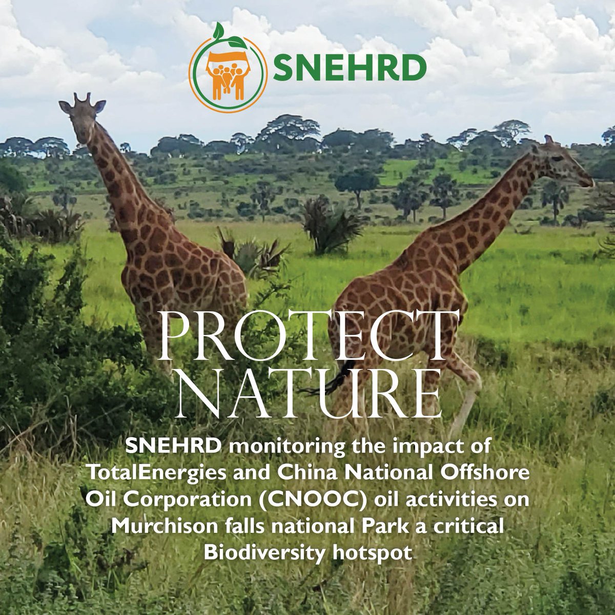 To avoid these oil and gas threats to biodiversity,  grass root EHRDs need to be strengthened and equipped to monitor, report, and pressure both government and Oil companies to stop these unsustainable developments