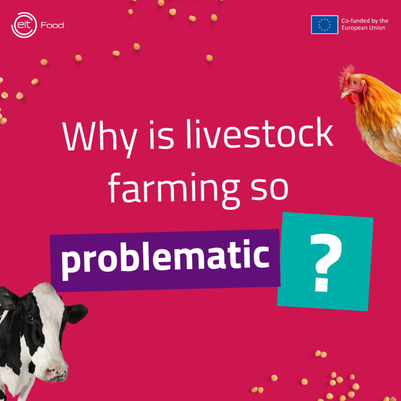 EITFood's tweet photo. With global population nearing 10B by 2050, animal agriculture won't sustain protein demand.π
We must shift towards #AlternativeProtein sources like plants, fungi, insects, & lab-grown meat.π±π
Explore how #ProteinDiversification can shape the #FutureOfFood.