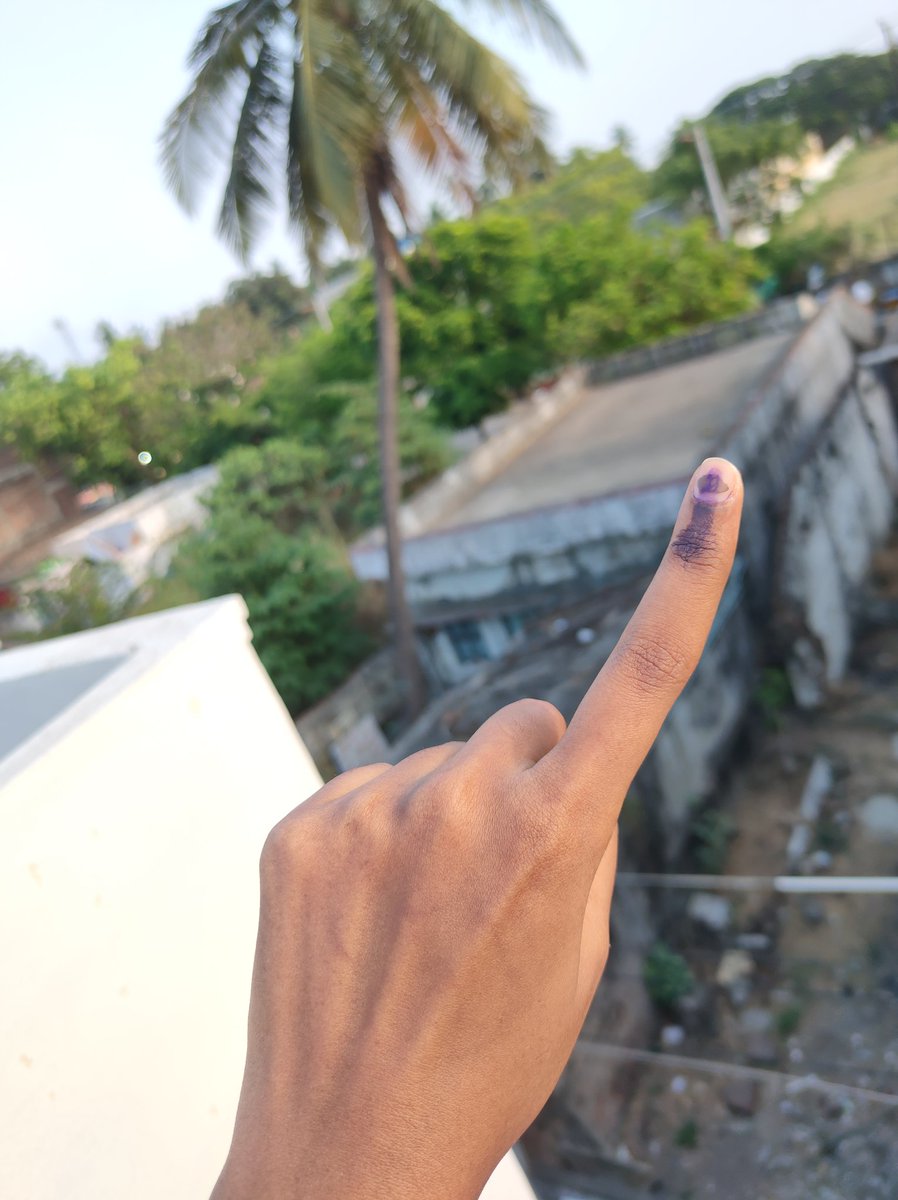 voted for democracy, equality, development,  future .
voted against hate, bigotry, religious divisionism and much more. 
#LokSabhaElections2024