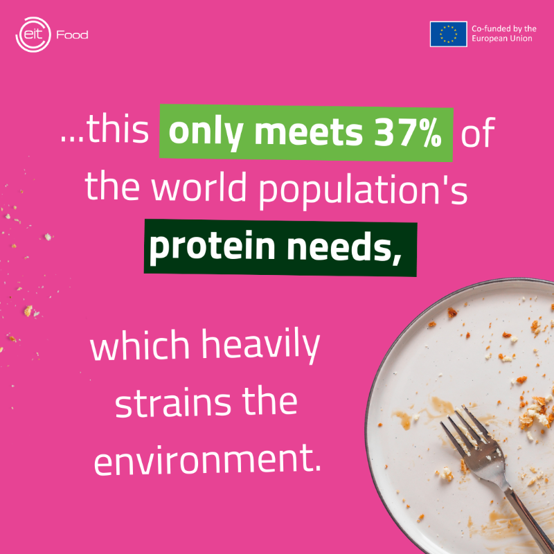EITFood's tweet photo. With global population nearing 10B by 2050, animal agriculture won't sustain protein demand.π
We must shift towards #AlternativeProtein sources like plants, fungi, insects, & lab-grown meat.π±π
Explore how #ProteinDiversification can shape the #FutureOfFood.