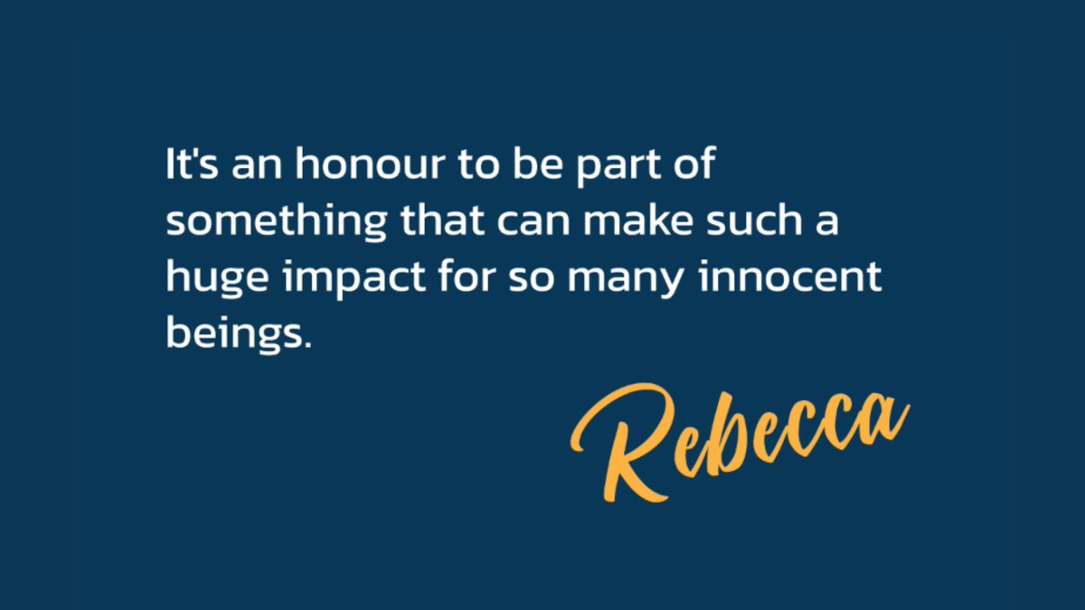 Meet the team: Introducing Rebecca - our Head of Individual Giving! Rebecca manages all of our appeals and support programmes, providing critical care to animals in need ❤️‍🩹 Without Rebecca’s ongoing dedication and generous donations from people like you, IAPWA would not be able