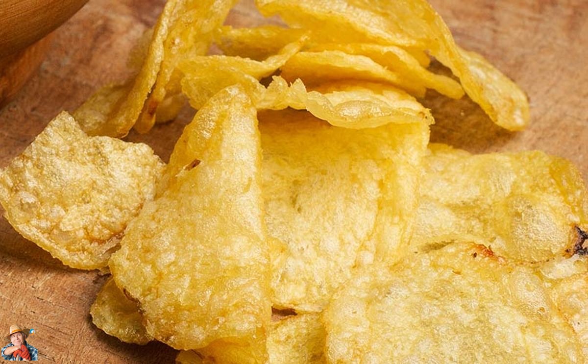 Revealing the Crunch: The Art and Science Behind Kettle Chips When it comes to satisfying snack cravings, potato chips come first. Among them, chips stand out for their characteristic crunch and variety of flavors. But what makes them different from reg... potatoes.news/revealing-the-…