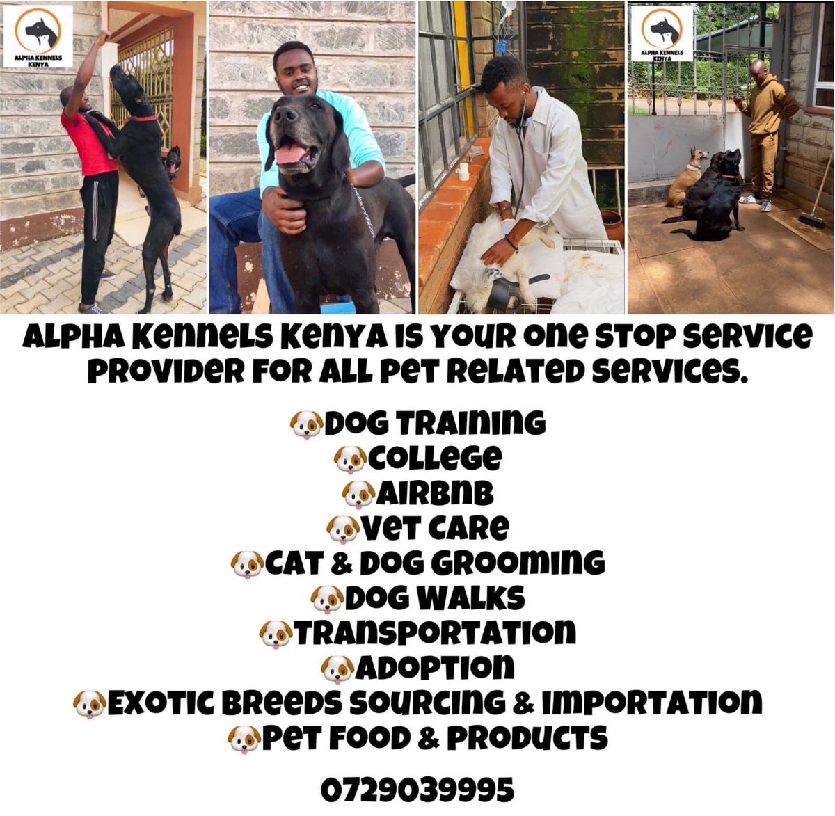 @ntvkenya @SusanGrace_ke @SONOFNATIONS Wadau karibuni to Kenya’s number 1 pet service @alphakennelske

Pet ownership made easy