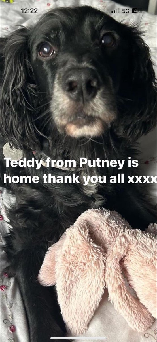 Teddy is home ❤️❤️❤️❤️