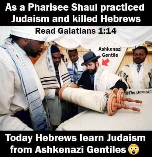 👉🏽“German” (Ashkenazic) Jews👈🏽 in the Eleventh to Thirteenth centuries (Wexler, 1993). The first known discussion of the origin of German Jews and Yiddish surfaced in the writings of the Hebrew grammarian Elia Baxur in the first half of the Sixteenth century.