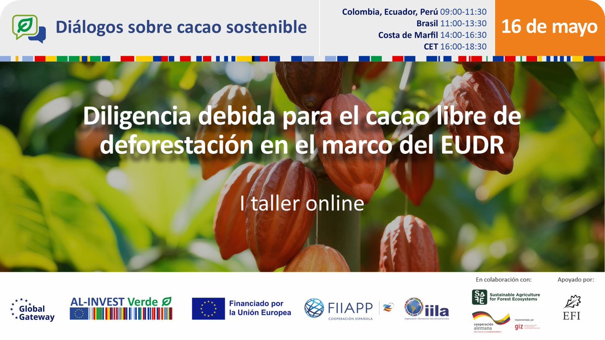 🌱@ALINVESTVerde finanziato dall'UE e gestito da @FIIAPP e #IILA, promuove i “Dialoghi sul Cacao Sostenibile”! Il 16 maggio alle 4PM (GMT+1) si terrà il 1° workshop online su “Due Diligence per il cacao libero da deforestazione nel quadro dell’EUDR” 👉bit.ly/3ypi3JI