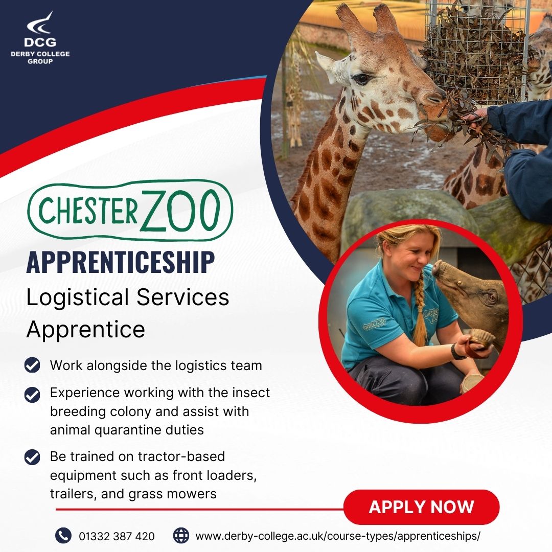 It is not too late to become an Apprentice at @chesterzoo. If you would like more information email: isabelle.torrance@derby-college.ac.uk, Or apply here: orlo.uk/rtuiE #ChesterZooApprentice #Apprenticeship #BrightFuture