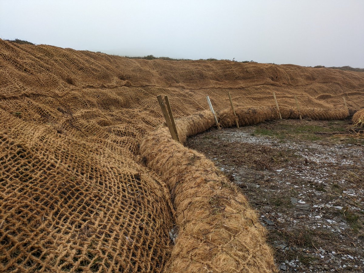 First coir netting is up, on top of heather brash, protecting the bare #peat underneath 😀. Without this, the peat is vulnerable to erosion and vegetation is hard to establish 🌿