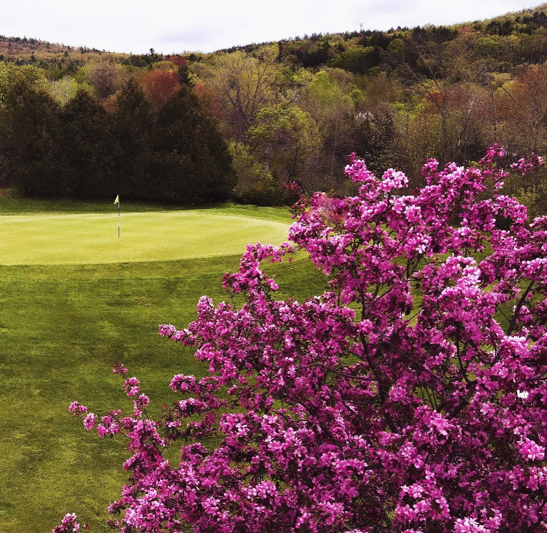 Fresh Start Monday <a href="/rockyridgegc/">Rocky Ridge G.C.</a>