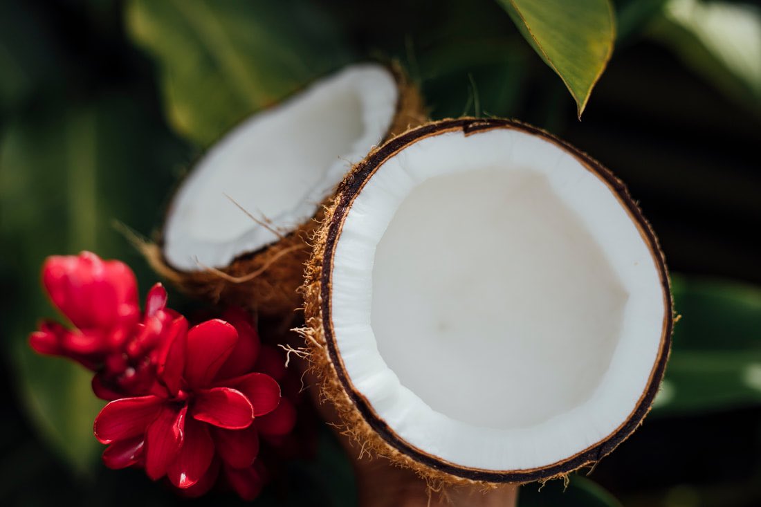 #MythologyMonday Hawaiian myth describes niu as a kinolau, or manifestation of the god Kū. Coconut, a staple Origen plant, is key for survival, and wai niu, or coconut water, is considered sacred, and used on special occasions or ceremonially, as it is untouched by human hands.