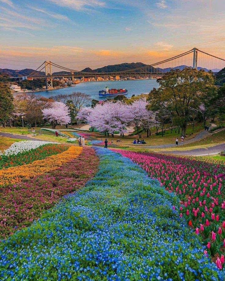 Hinoyama park,Japan
