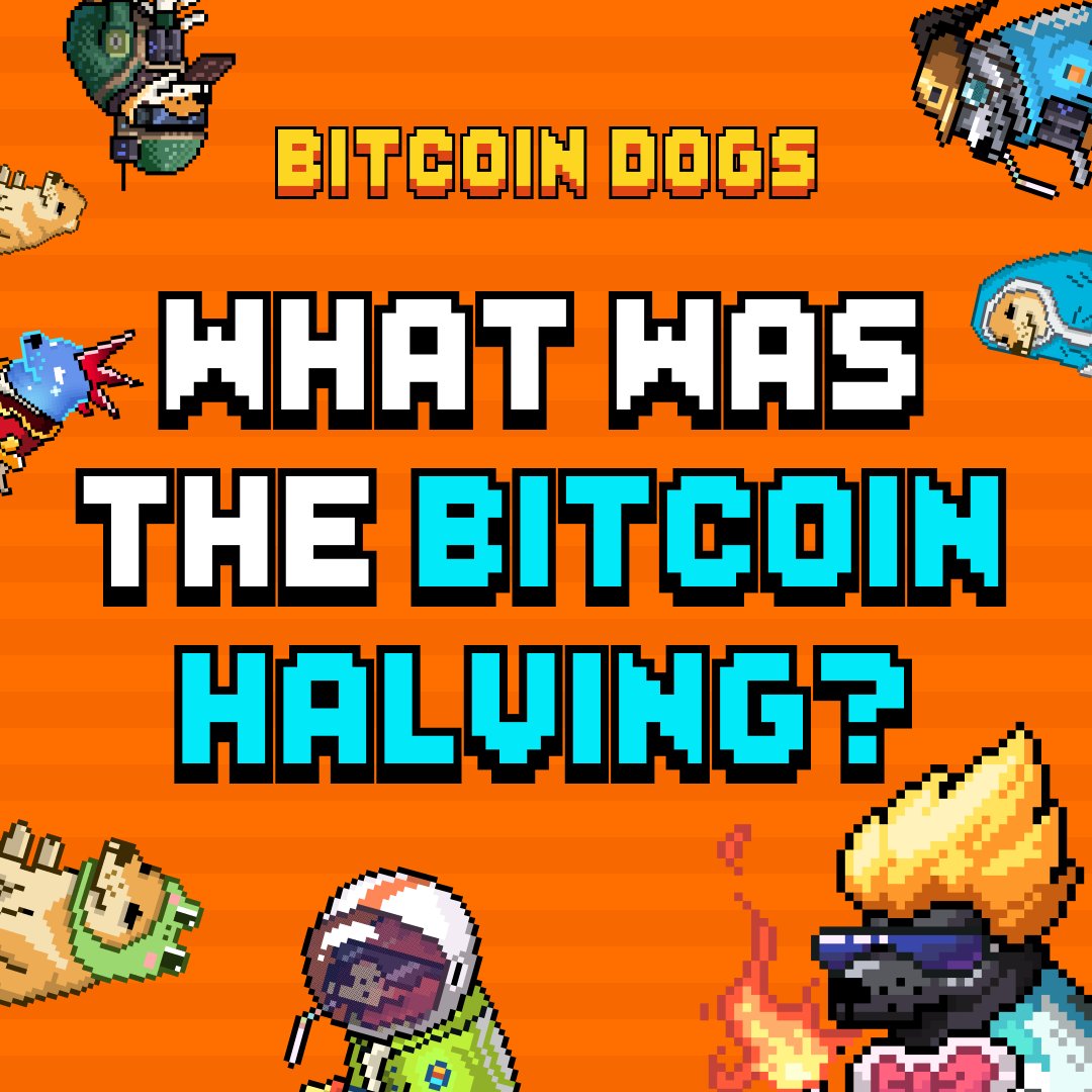 Alright dawgs, let's talk about one of the most anticipated events in the crypto world – the Bitcoin halving! 🚀

🧵 #Bitcoin #Thread #BitcoinHalving #Halving