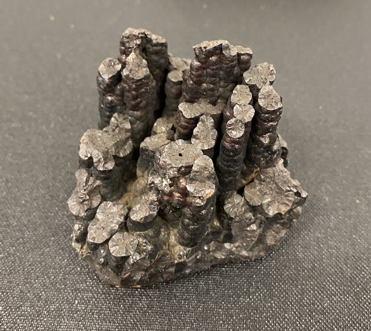 Stalactites of limonite, an iron ore mineraloid that is a mixture of minerals, from Tuscaloosa, Alabama. This one probably has a lot of goethite in it. #MineralMonday #GeoscienceTwitter