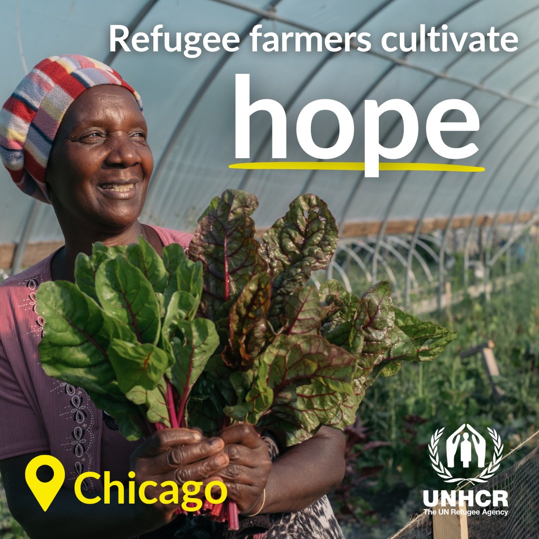 After fleeing Burundi, Celestine has found #HopeAwayFromHome with her new community through the Global Garden Refugee Training Farm. Over 100 refugee families are growing their own produce, preserving cultural practices and strengthening community ties. bit.ly/3xN6vjs