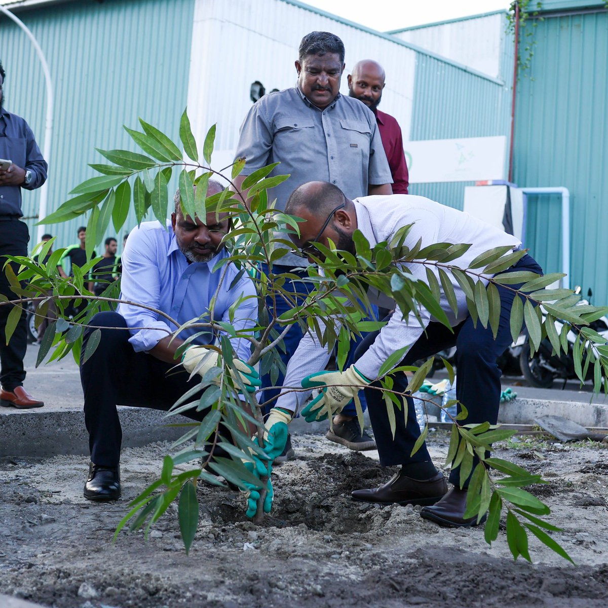 WAMCOmv's tweet photo. Branching out for a better future! Our dedicated DMD and MD volunteered their time to plant trees at the industrial village 🌳 🌿.

#thimaageveshi
#WAMCO https://t.co/cK4bJfHnAb
