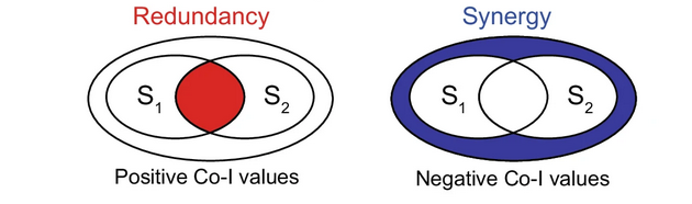 canalesjohnson's tweet photo. 2/8 Are cortical representations of prediction error synergistic? Synergy refers to the complementary effect of multiple brain signals conveying more information than the sum of each isolated one. Synergy might indicate distributed rather than serial prediction error processing. https://t.co/oxK0otvxbP