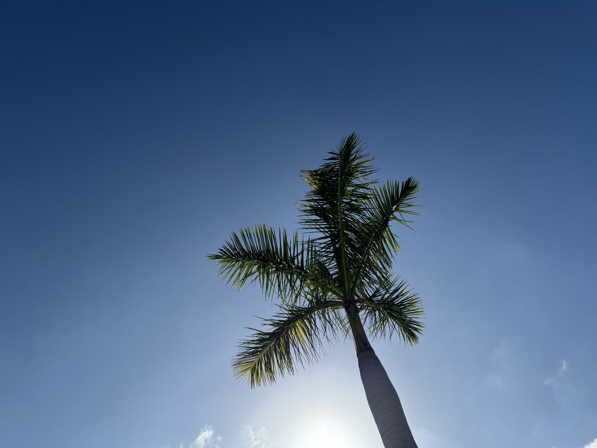 Perfect few days recharging with this as the view most days….
Nearly a whole bottle of factor 50 and I’m still “medium rare”