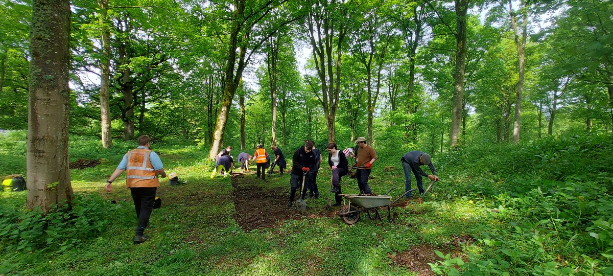 SophieThérèse Ambler (@rg1253) on Twitter photo The big job today is opening Trench 1, a quadrant of the ringwork castle interior, to uncover the medieval surface. Students are hard at work overseen by Louise <a href="/allenarchaeo/">Allen Archaeology 💙</a> & <a href="/jimbonesmorris/">Dr James Morris</a>. We'll be here weekdays till 31st May - visitors welcome! 2/2 The big job today is opening Trench 1, a quadrant of the ringwork castle interior, to uncover the medieval surface. Students are hard at work overseen by Louise <a href="/allenarchaeo/">Allen Archaeology 💙</a> & <a href="/jimbonesmorris/">Dr James Morris</a>. We'll be here weekdays till 31st May - visitors welcome! 2/2