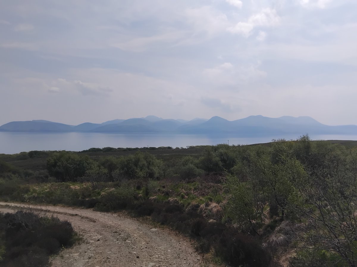 Ty Solomon tweet media