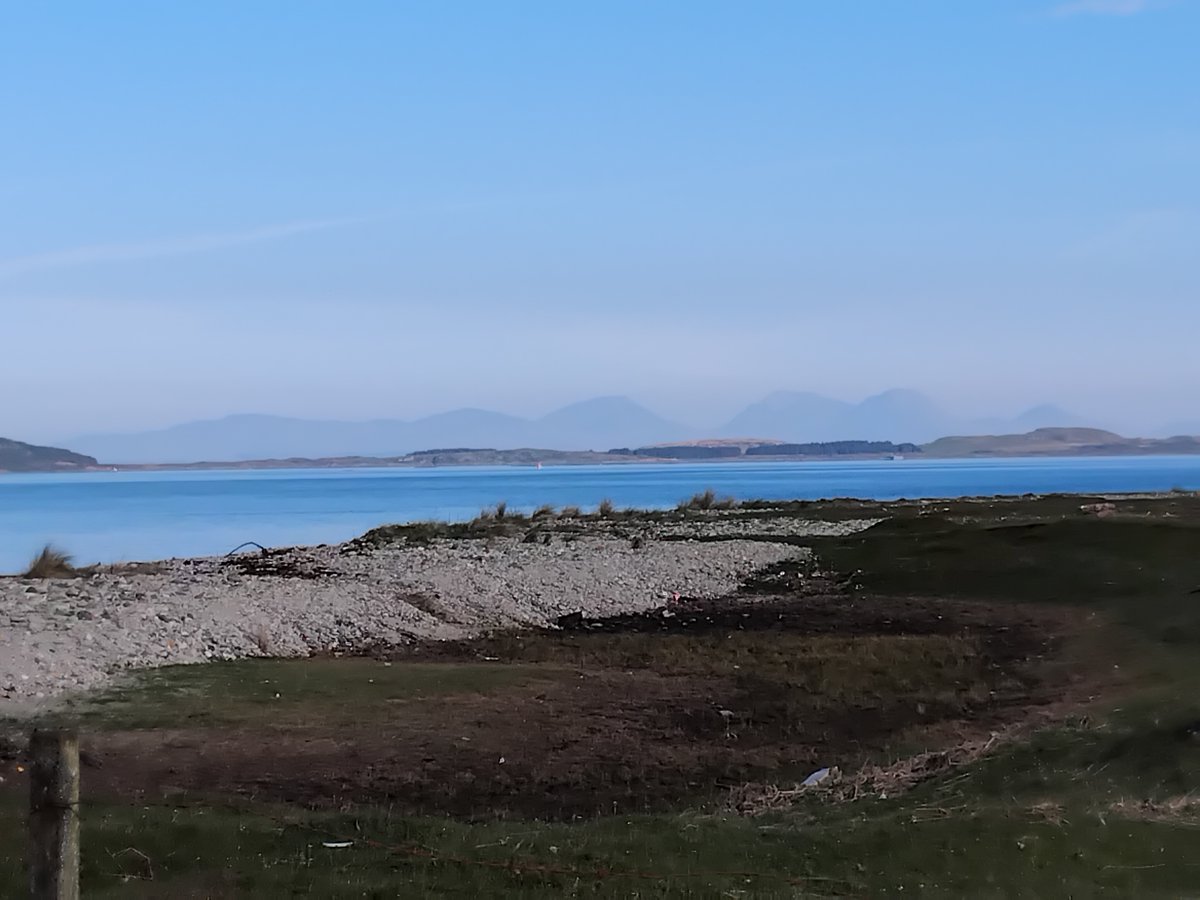 Ty Solomon tweet media