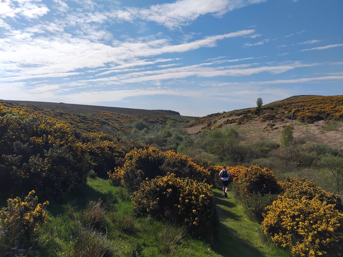 Ty Solomon tweet media