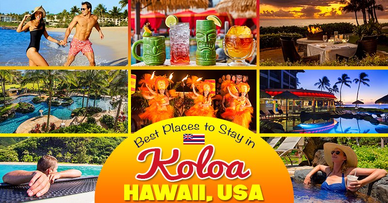 Dive into the aloha spirit as we take a look at the best hotels in Koloa, #Hawaii. ☀️⛱️🍹
best-online-travel-deals.com/hotels-in-koloa
#travelblogger #travelbloggers #travelbloging