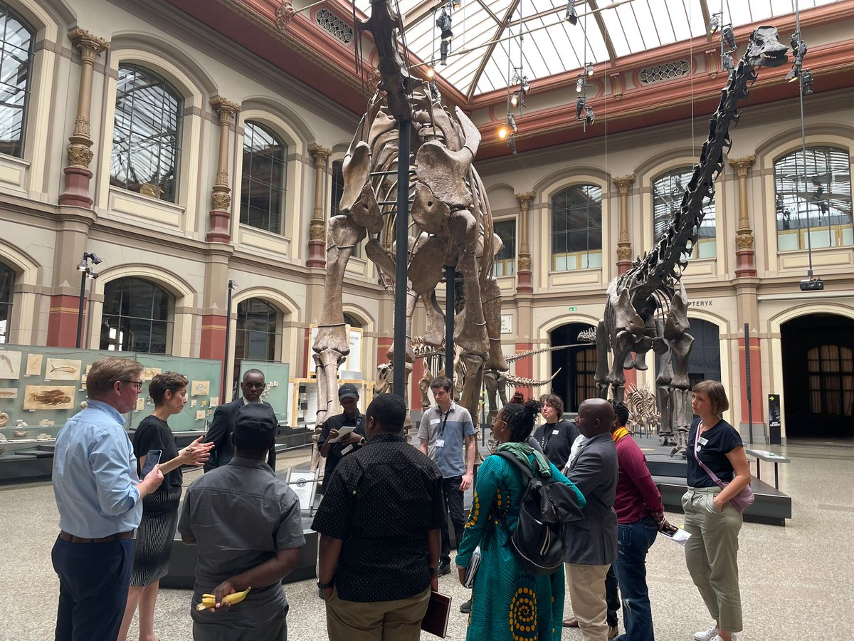 Heute bestand die Gelegenheit mit der Besuchsgruppe aus Tansania #DinoInTheRoom im Berliner Naturkundemuseum @mfnberlin den Dino aus Tansania kennenzulernen. Vielen Dank an das engagierte Museumsteam.