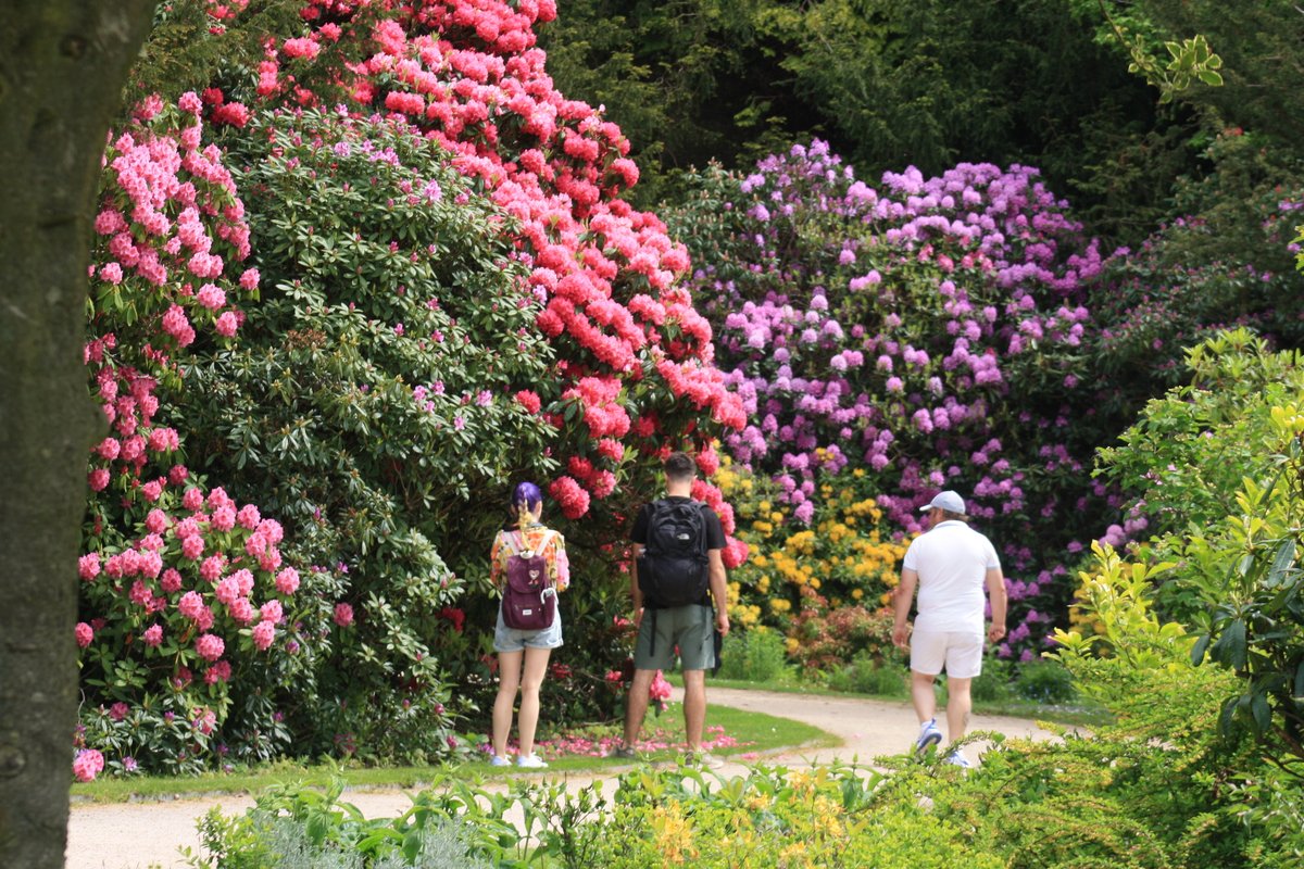 Ushaw is looking for a new 𝗴𝗿𝗼𝘂𝗻𝗱𝘀𝗽𝗲𝗿𝘀𝗼𝗻 to join our Grounds team and support the management and maintenance of our beautiful grounds and gardens! 💼 Discover more: ushaw.org/recruitment #Ushawesome #Vacancy #Recruitment @VCDBusiness