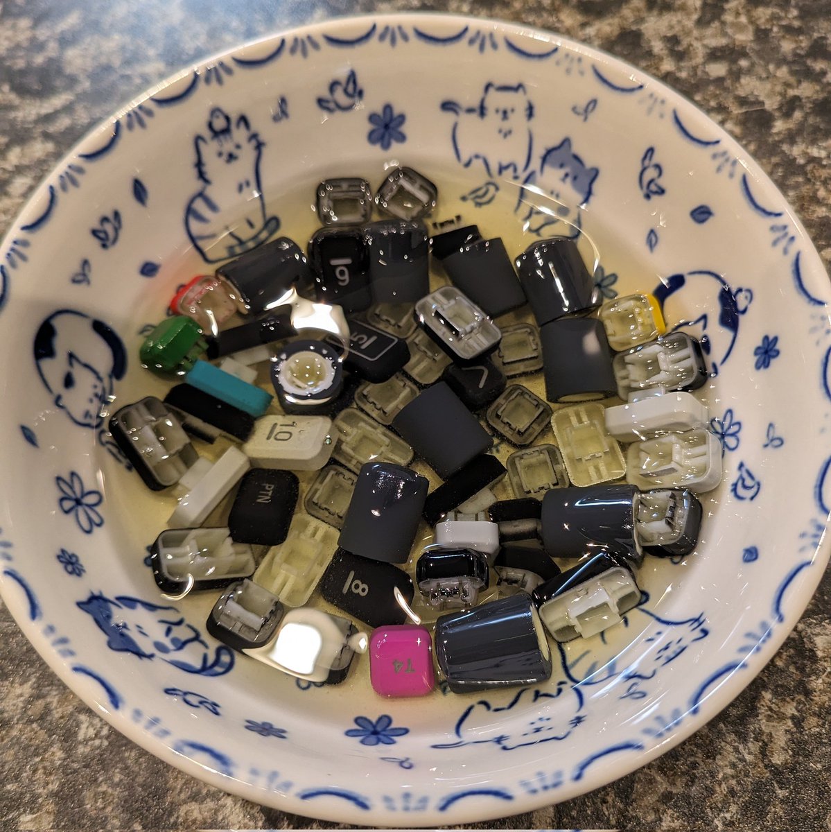 yuz240's tweet image. さて、と
#加水分解 #elektron #digitone