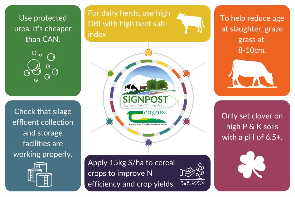 Check out our Climate Actions for May! 🌱

teagasc.ie/environment/cl…

<a href="/teagasc/">Teagasc</a>