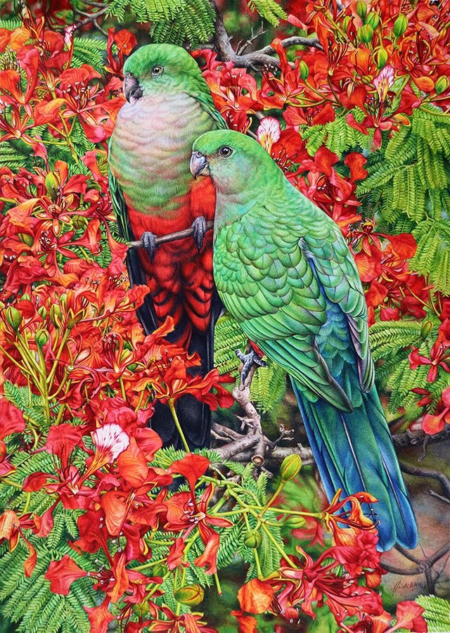 Heidi Willis Entirely self taught Natural History Watercolour and Acrylics artist who has been painting since 2003 Australian born artist . Stunning colours
