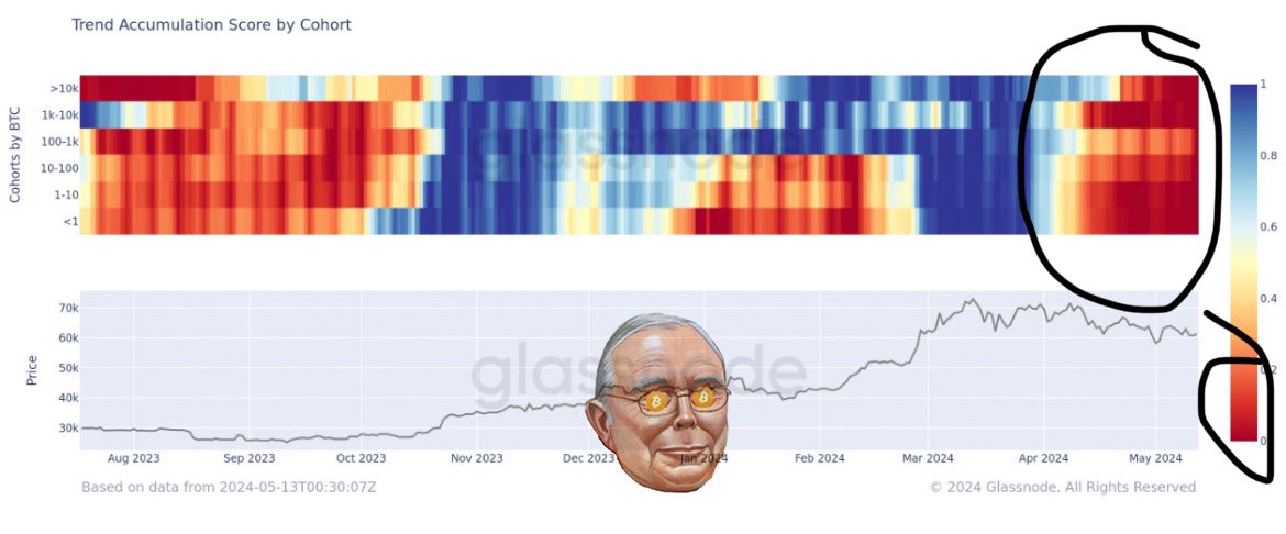 The most intense distribution across all cohorts we have seen in the last year and #Bitcoin is still holding at $62,000. 

Any shift towards accumulation and we likely explode to new highs. Tick tock!