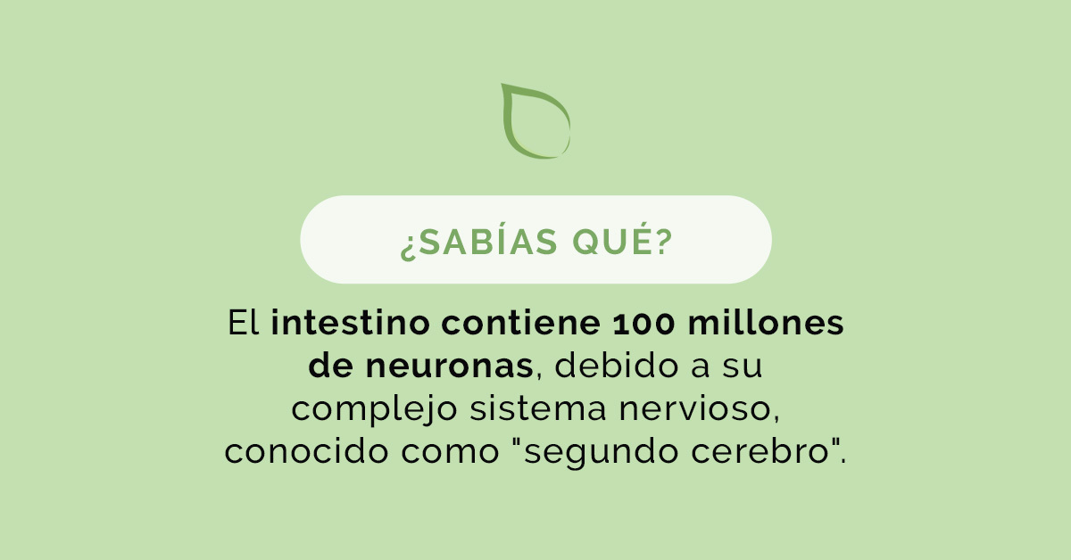 ¿Sabías qué? #intestino #microbiota #eii