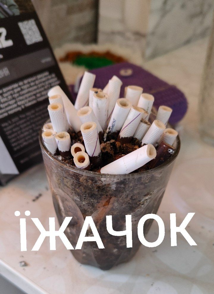 Моє улюблене тістечко