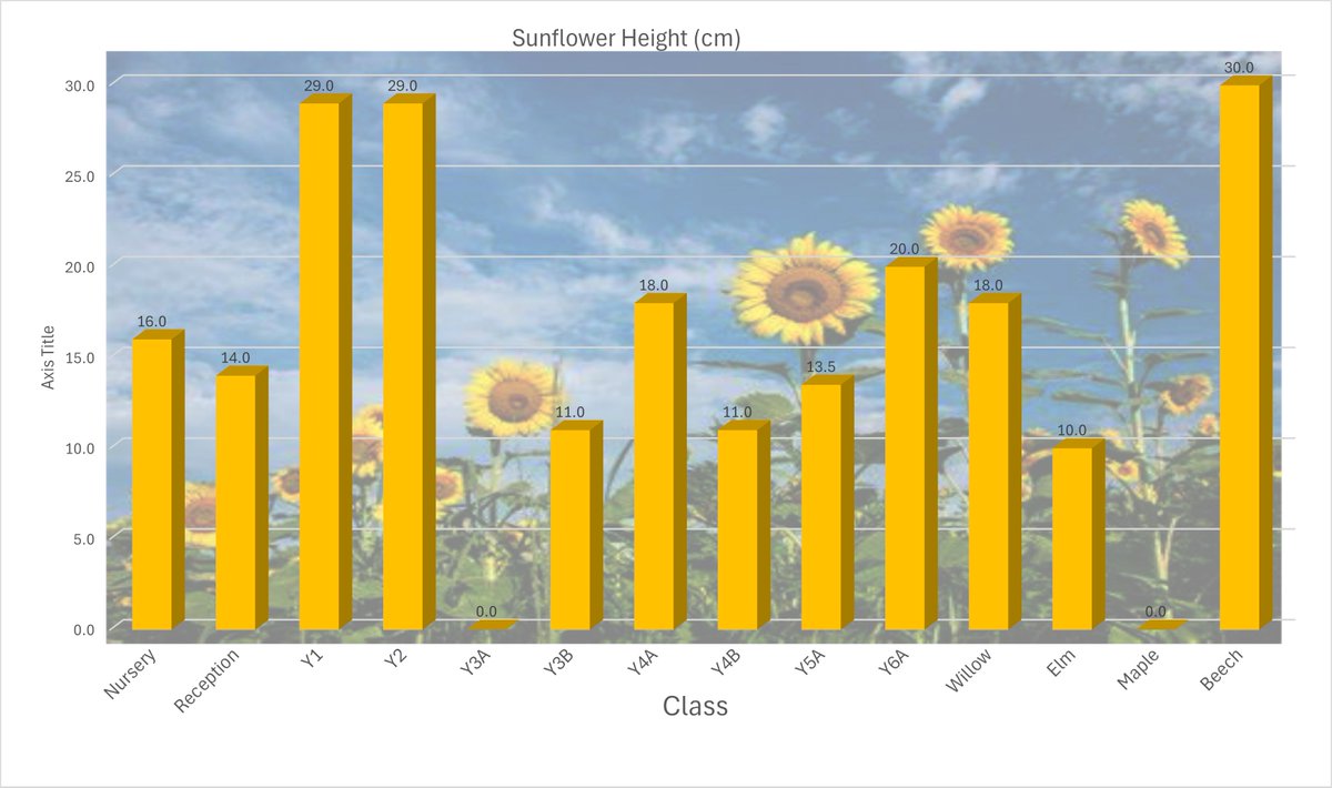 The latest update on the sunflower competition is here. Unfortunately, we lost one sunflower this week 😓 Congratulations to Miss Coupe for growing a sunflower that reached 30cm, with Year 1 and Year 2 close behind! 

#WeAreMarton #WeAreBrightFutures #EarthDay  @BrightFuturesET