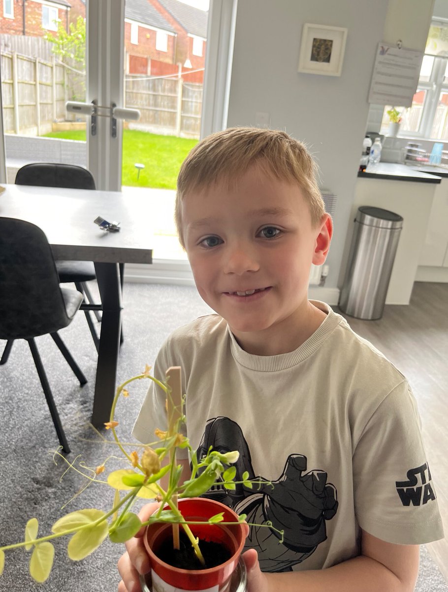 Logan spotted some ducks on the canal as part of his animal detective work. He has been looking after his bean plant well too! @St_Wilfrids_CE @LT_Trust