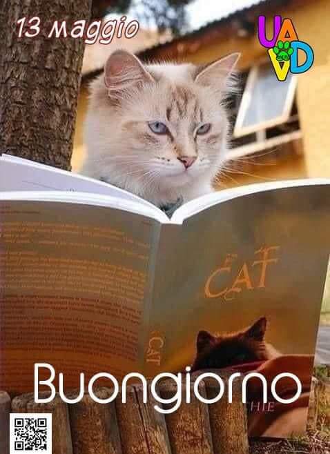 #13maggio “Abbiamo tutti una storia da raccontare, una pagina da scrivere, un libro da ultimare…Si chiama Vita!” 🌿G.De Luca🌿 🍃🌻 #BuongiornoATutti voi 🌻🍃